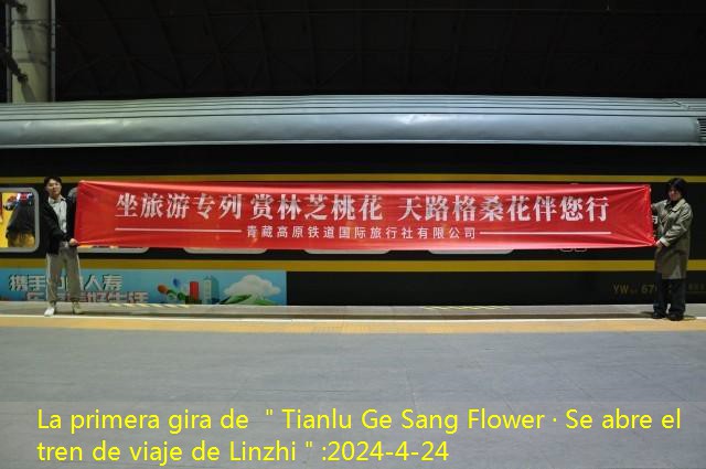 La primera gira de ＂Tianlu Ge Sang Flower · Se abre el tren de viaje de Linzhi＂